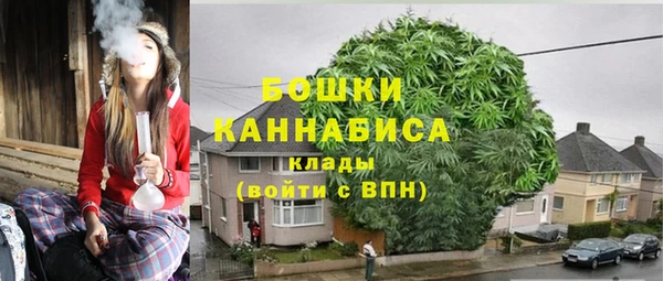 трава Вязьма